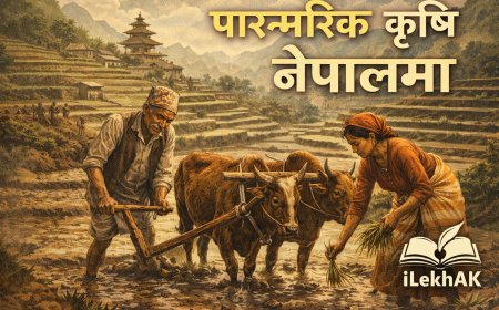 कृषिमा आधारित गाउंले परम्पराहरु