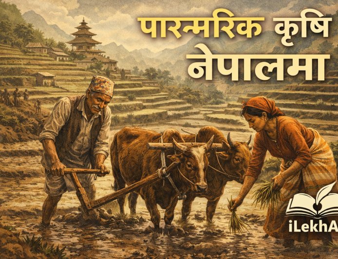 कृषिमा आधारित गाउंले परम्पराहरु